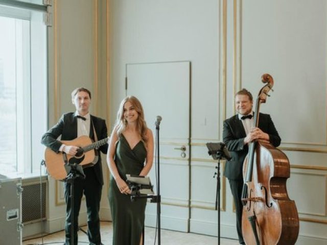 trio velvet akustik jazz pop trio Gesang Kim hoffmann stuttgart Luc Hatzis Kontrabass roman spilek Gitarre background music